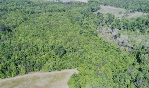 Photo #16 of SOLD property in Off Holland Road, Greenville, NC 20.0 acres