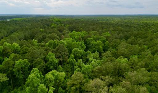 Photo #11 of SOLD property in Off Dunbar Canal Rd, Belhaven, NC 65.1 acres