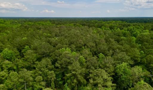Photo #14 of SOLD property in Off Dunbar Canal Rd, Belhaven, NC 65.1 acres