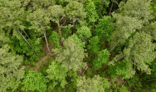 Photo #15 of SOLD property in Off Dunbar Canal Rd, Belhaven, NC 65.1 acres