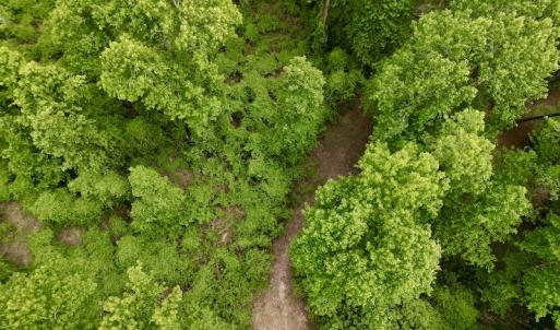 Photo #16 of SOLD property in Off Dunbar Canal Rd, Belhaven, NC 65.1 acres