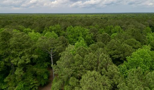 Photo #17 of SOLD property in Off Dunbar Canal Rd, Belhaven, NC 65.1 acres
