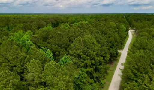 Photo #18 of SOLD property in Off Dunbar Canal Rd, Belhaven, NC 65.1 acres