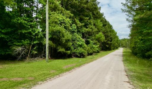Photo #19 of SOLD property in Off Dunbar Canal Rd, Belhaven, NC 65.1 acres