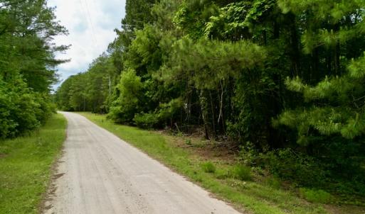 Photo #20 of SOLD property in Off Dunbar Canal Rd, Belhaven, NC 65.1 acres