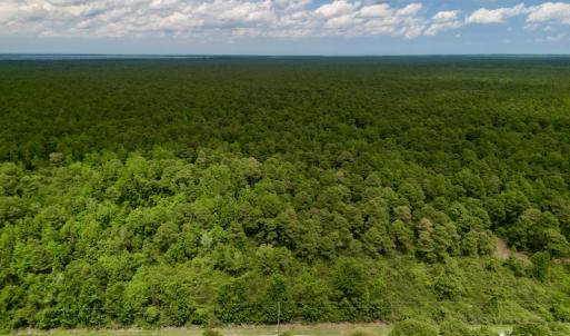 Photo #3 of SOLD property in Off Dunbar Canal Rd, Belhaven, NC 65.1 acres