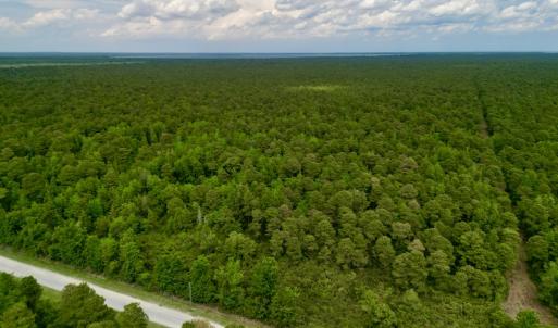 Photo #4 of SOLD property in Off Dunbar Canal Rd, Belhaven, NC 65.1 acres