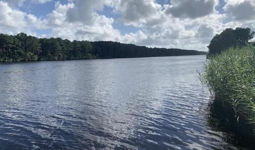 Photo #29 of SOLD property in Off Dunbar Canal Rd, Belhaven, NC 65.1 acres
