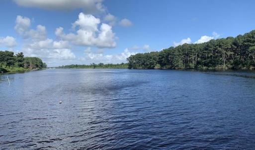 Photo #30 of SOLD property in Off Dunbar Canal Rd, Belhaven, NC 65.1 acres