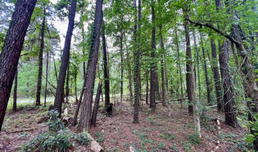 Photo #31 of SOLD property in Off Dunbar Canal Rd, Belhaven, NC 65.1 acres