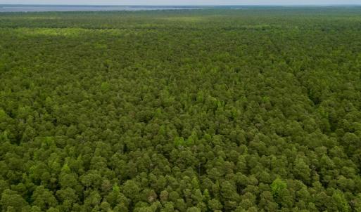 Photo #36 of SOLD property in Off Dunbar Canal Rd, Belhaven, NC 65.1 acres