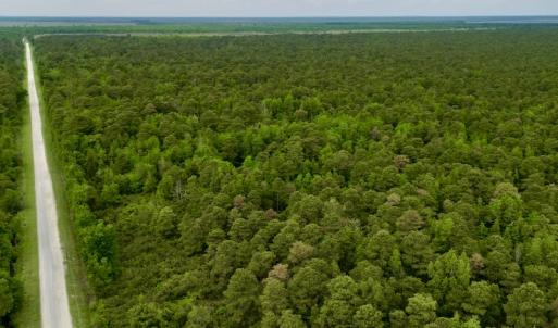 Photo #5 of SOLD property in Off Dunbar Canal Rd, Belhaven, NC 65.1 acres