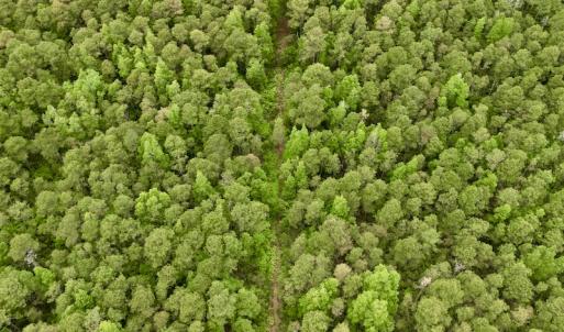 Photo #37 of SOLD property in Off Dunbar Canal Rd, Belhaven, NC 65.1 acres