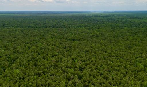 Photo #38 of SOLD property in Off Dunbar Canal Rd, Belhaven, NC 65.1 acres