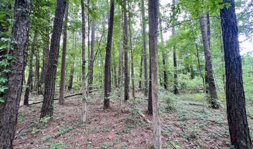 Photo #40 of SOLD property in Off Dunbar Canal Rd, Belhaven, NC 65.1 acres