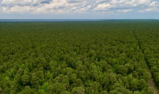 Photo #7 of SOLD property in Off Dunbar Canal Rd, Belhaven, NC 65.1 acres