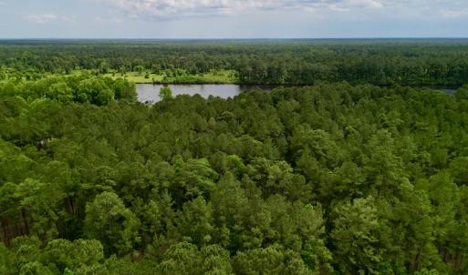 Photo #8 of SOLD property in Off Dunbar Canal Rd, Belhaven, NC 65.1 acres