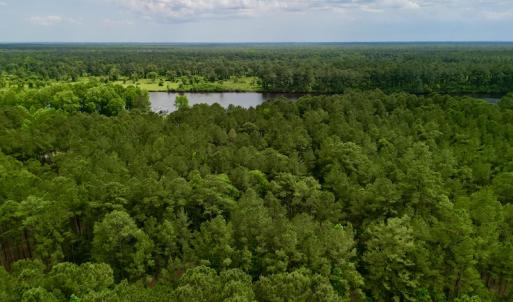 Photo #8 of SOLD property in Off Dunbar Canal Rd, Belhaven, NC 65.1 acres