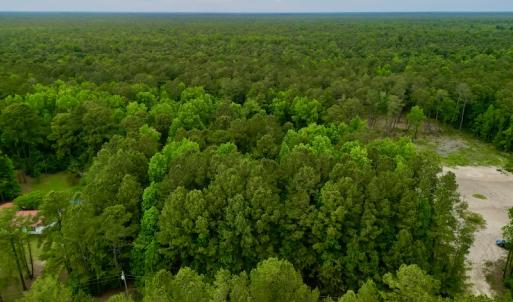 Photo #9 of SOLD property in Off Dunbar Canal Rd, Belhaven, NC 65.1 acres