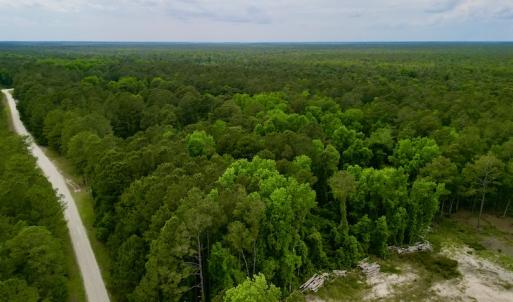 Photo #10 of SOLD property in Off Dunbar Canal Rd, Belhaven, NC 65.1 acres