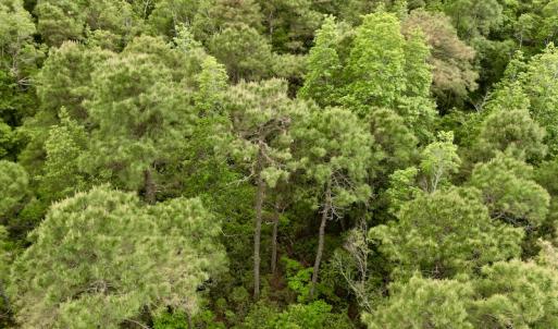 Photo #42 of SOLD property in Off Dunbar Canal Rd, Belhaven, NC 65.1 acres