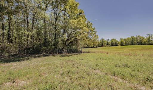 Photo #20 of SOLD property in Off Pine Ridge Road , Faison, NC 5.8 acres