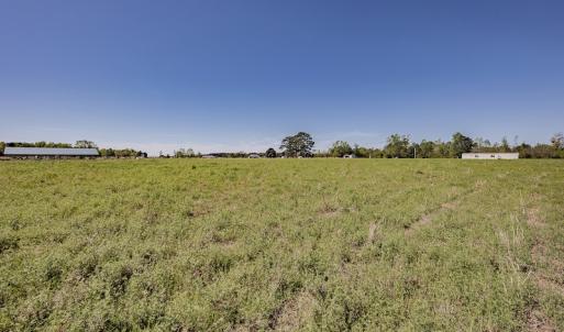 Photo #22 of SOLD property in Off Pine Ridge Road , Faison, NC 5.8 acres