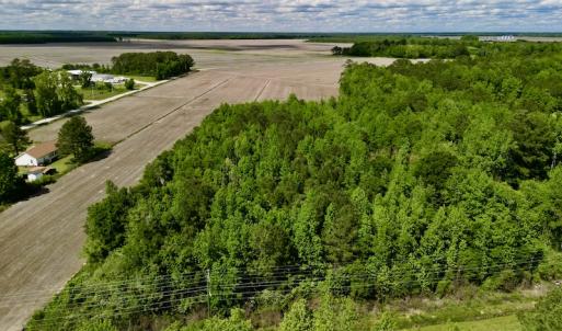 Photo #2 of Off Swan Corner Rd, Bayboro, NC 5.3 acres
