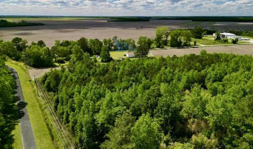 Photo #3 of Off Swan Corner Rd, Bayboro, NC 5.3 acres