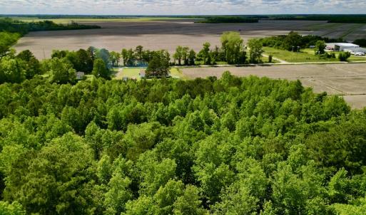 Photo #4 of Off Swan Corner Rd, Bayboro, NC 5.3 acres