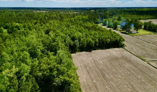 Photo #5 of SOLD property in Off Swan Corner Rd, Bayboro, NC 5.3 acres