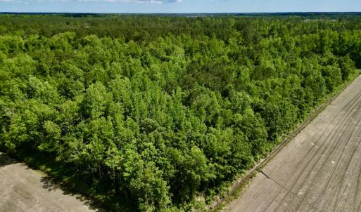 Photo #6 of Off Swan Corner Rd, Bayboro, NC 5.3 acres
