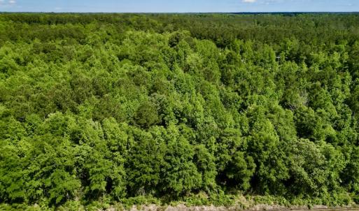 Photo #7 of Off Swan Corner Rd, Bayboro, NC 5.3 acres