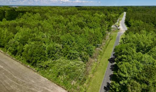 Photo #8 of SOLD property in Off Swan Corner Rd, Bayboro, NC 5.3 acres