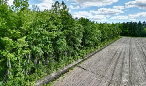 Photo #9 of Off Swan Corner Rd, Bayboro, NC 5.3 acres