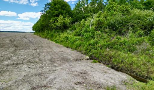 Photo #10 of SOLD property in Off Swan Corner Rd, Bayboro, NC 5.3 acres