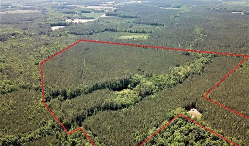 Photo #2 of Off Old Forty Rd, Waverly, VA 129.8 acres
