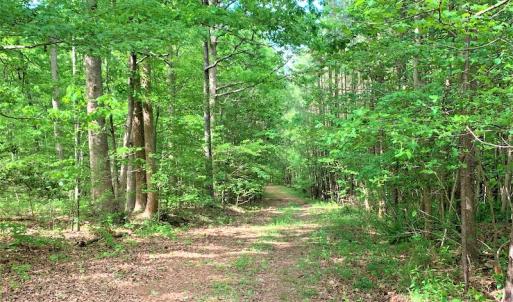 Photo #18 of SOLD property in Off Old Forty Rd, Waverly, VA 129.8 acres