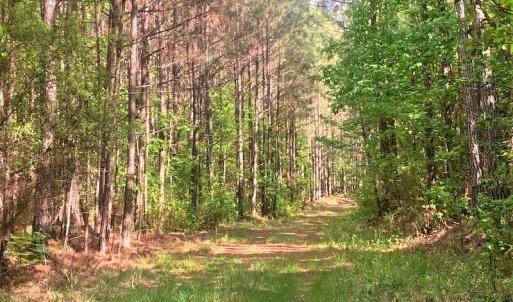 Photo #19 of Off Old Forty Rd, Waverly, VA 129.8 acres