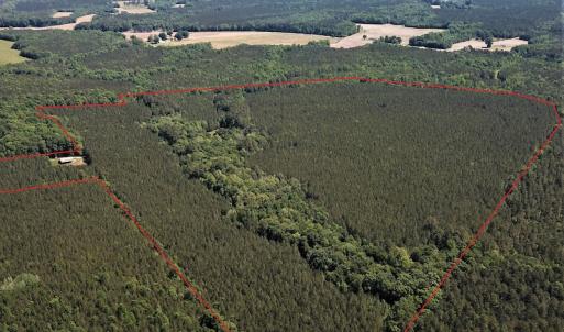 Photo #3 of SOLD property in Off Old Forty Rd, Waverly, VA 129.8 acres