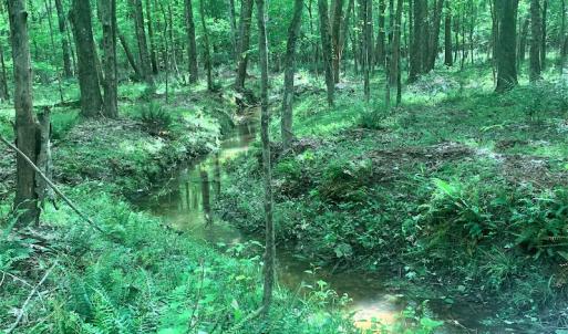 Photo #29 of Off Old Forty Rd, Waverly, VA 129.8 acres