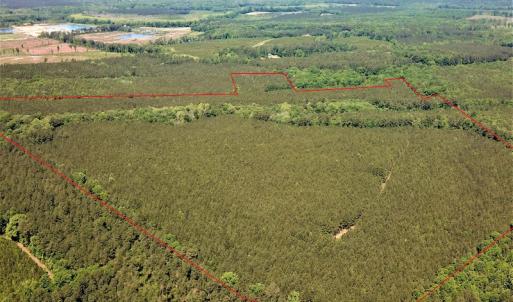 Photo #4 of Off Old Forty Rd, Waverly, VA 129.8 acres