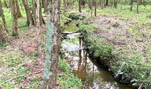 Photo #32 of Off Old Forty Rd, Waverly, VA 129.8 acres
