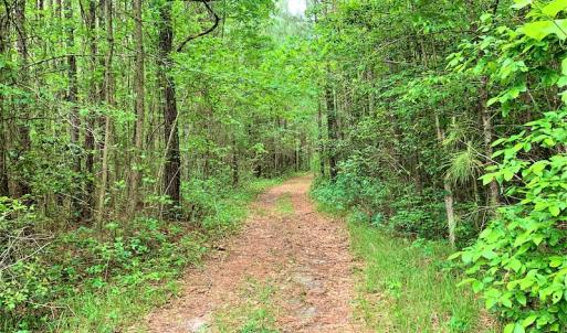 Photo #34 of SOLD property in Off Old Forty Rd, Waverly, VA 129.8 acres