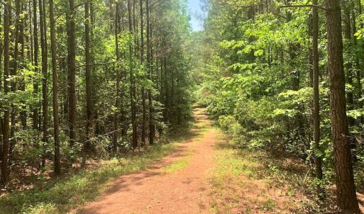 Photo #35 of Off Old Forty Rd, Waverly, VA 129.8 acres