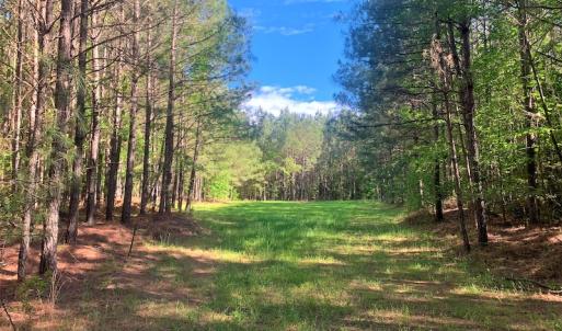 Photo #36 of Off Old Forty Rd, Waverly, VA 129.8 acres