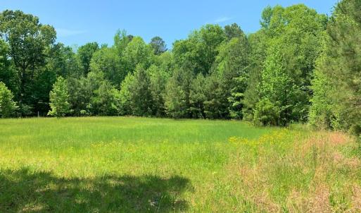 Photo #37 of SOLD property in Off Old Forty Rd, Waverly, VA 129.8 acres