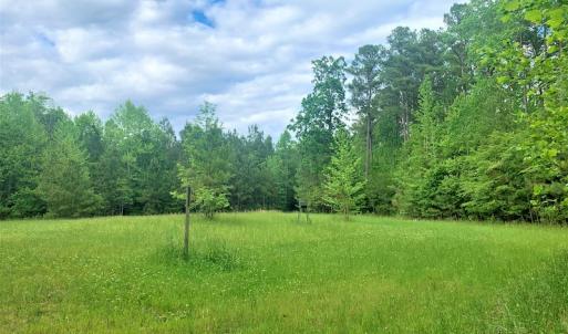 Photo #38 of Off Old Forty Rd, Waverly, VA 129.8 acres