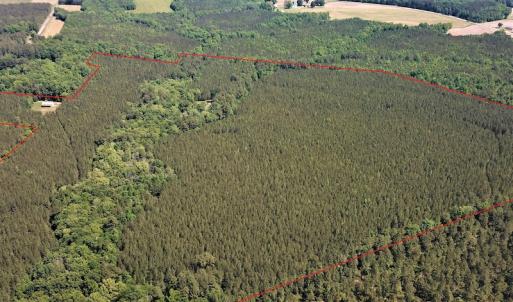 Photo #5 of Off Old Forty Rd, Waverly, VA 129.8 acres