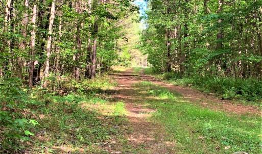 Photo #7 of SOLD property in Off Old Forty Rd, Waverly, VA 129.8 acres